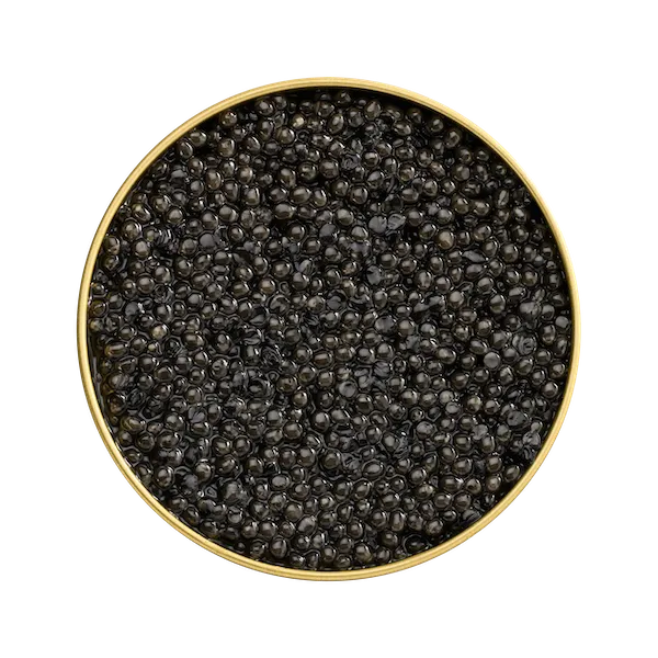 BELUGA Kaviar, 10g
