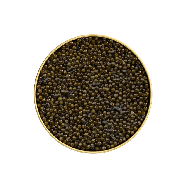 Störkaviar AMUR ROYAL, 30g