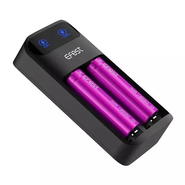 Efest LUSH Q2 charger